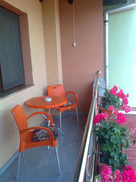 Pensiunea Select Arad Rom bilde